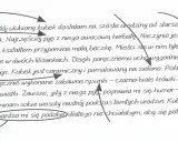 Opis przedmiotu klasa 4 karta pracy: ulubiony zielony kubek w kształcie beczki z rysunkami krówek i kwiatków.