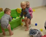 Trzy maluchy, w tym 6 miesięczne dziecko w chodziku, bawią się kolorowymi piłeczkami w zielonej wanience.