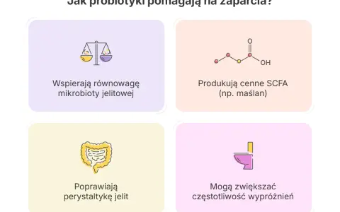 Probiotyk na zaparcia: wspiera równowagę mikrobioty, produkuje maślan, poprawia perystaltykę jelit i może zwiększać częstotliwość wypróżnień.